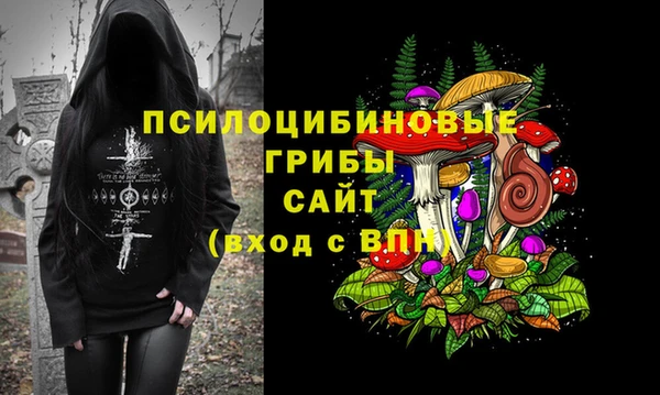 мет Бородино