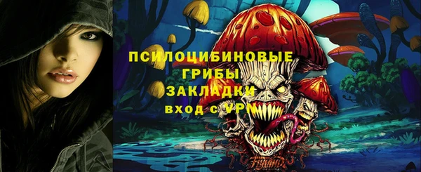 мет Бородино