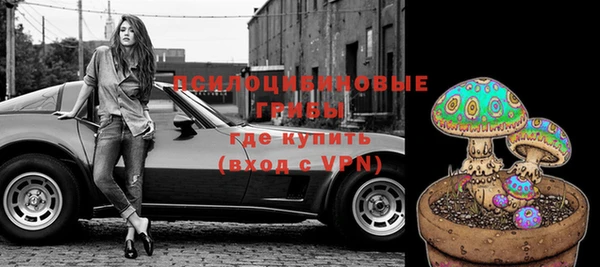 шишки Бугульма