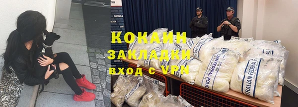 шишки Бугульма