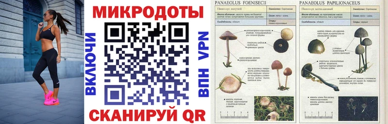 где купить   Симферополь  Галлюциногенные грибы Psilocybine cubensis 